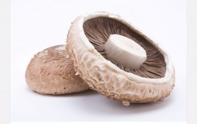 Paddestoelen