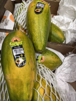 Actuele groente en fruit van het seizoen