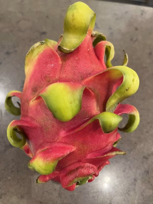 Actuele groente en fruit van het seizoen