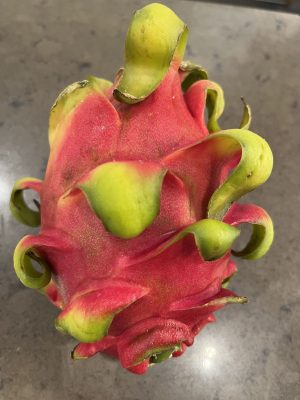 Actuele groente en fruit van het seizoen