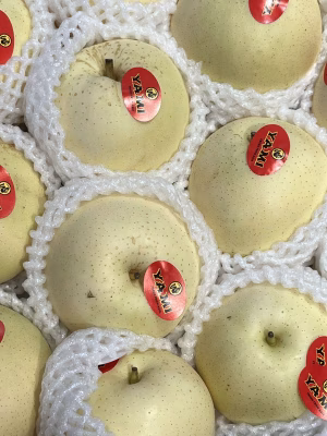 Actuele groente en fruit van het seizoen